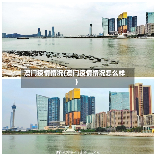 澳门疫情情况(澳门疫情情况怎么样)-第2张图片