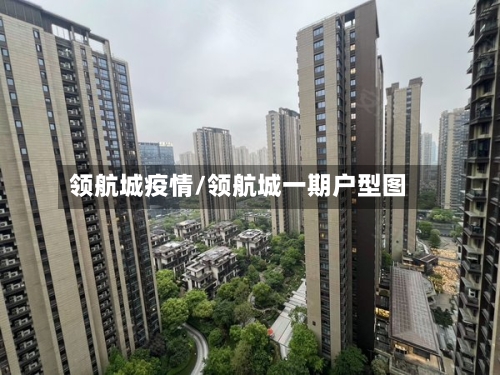 领航城疫情/领航城一期户型图-第3张图片