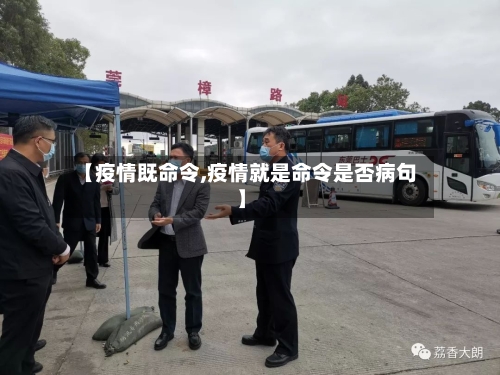 【疫情既命令,疫情就是命令是否病句】-第2张图片