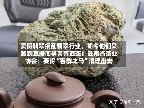 卖假翡翠搞乱翡翠行业，如今他们又跑到直播间祸害普洱茶！云南省茶业协会：要将“害群之马”清理出去-第2张图片