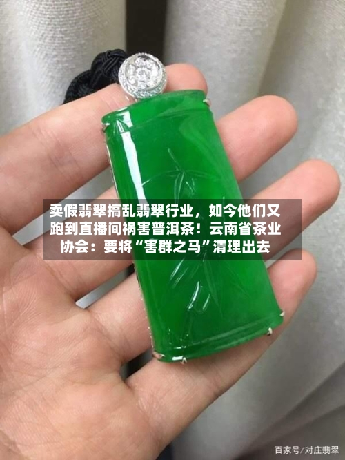 卖假翡翠搞乱翡翠行业，如今他们又跑到直播间祸害普洱茶！云南省茶业协会：要将“害群之马”清理出去-第3张图片