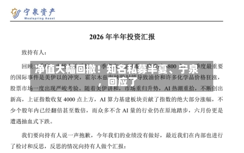 净值大幅回撤！知名私募半夏、宁泉，回应了-第3张图片