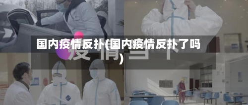 国内疫情反扑(国内疫情反扑了吗)-第2张图片