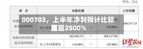 000703	，上半年净利预计比较高增超2500%-第3张图片