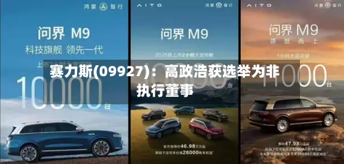 赛力斯(09927)：高政浩获选举为非执行董事