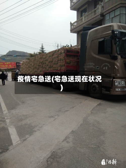 疫情宅急送(宅急送现在状况)