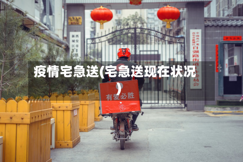 疫情宅急送(宅急送现在状况)-第3张图片