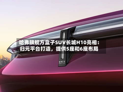 哈弗旗舰方盒子SUV长城H10亮相：归元平台打造，提供5座和6座布局-第3张图片