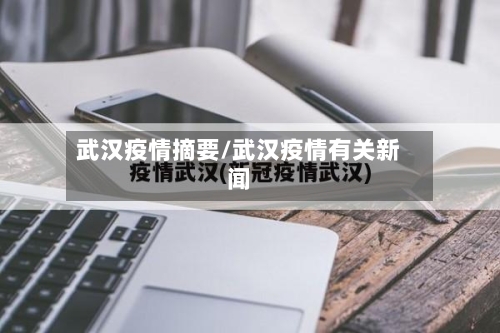 武汉疫情摘要/武汉疫情有关新闻