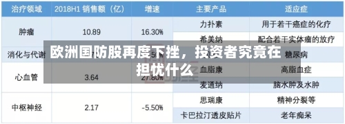 欧洲国防股再度下挫，投资者究竟在担忧什么