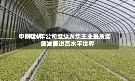 中钢世界：2026年公司继续聚焦主业提质增效，推进高水平世界化发展-第2张图片