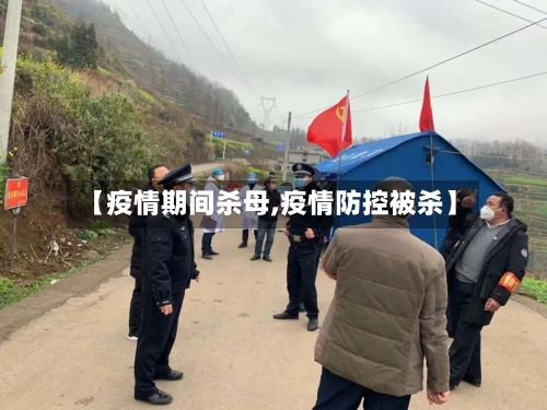 【疫情期间杀母,疫情防控被杀】