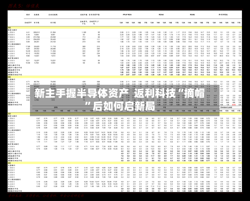 新主手握半导体资产  返利科技“摘帽	”后如何启新局-第3张图片