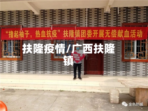 扶隆疫情/广西扶隆镇
