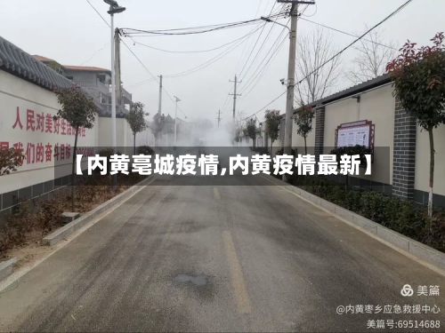 【内黄亳城疫情,内黄疫情最新】-第2张图片