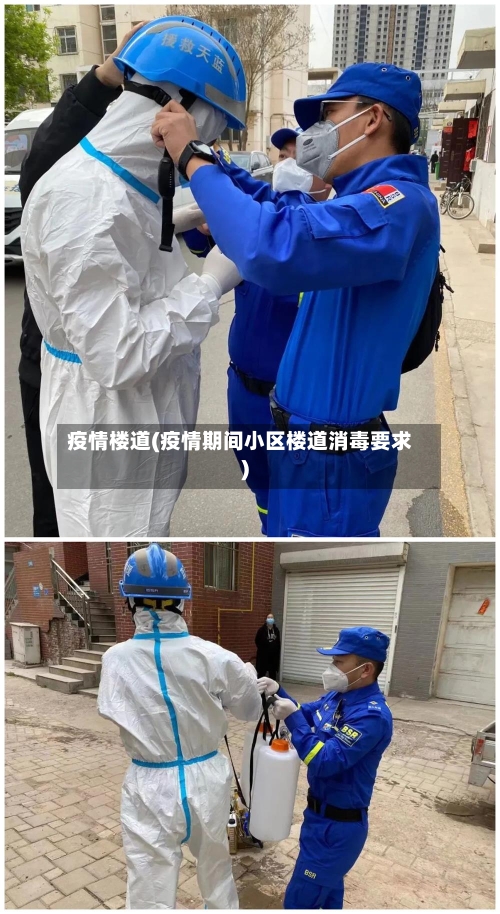 疫情楼道(疫情期间小区楼道消毒要求)-第2张图片