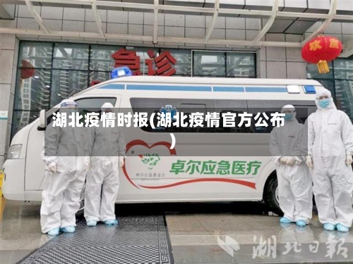 湖北疫情时报(湖北疫情官方公布)