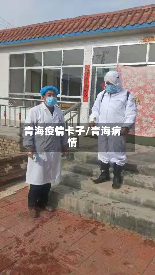 青海疫情卡子/青海病情