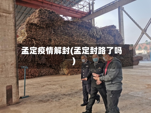 孟定疫情解封(孟定封路了吗)