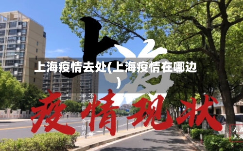 上海疫情去处(上海疫情在哪边)-第2张图片