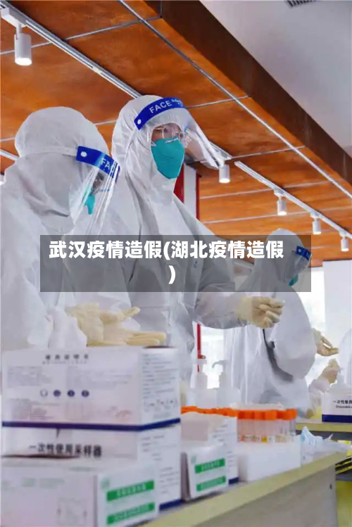 武汉疫情造假(湖北疫情造假)-第2张图片